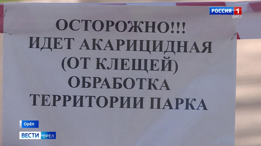 В Орловской области началась борьба с клещами