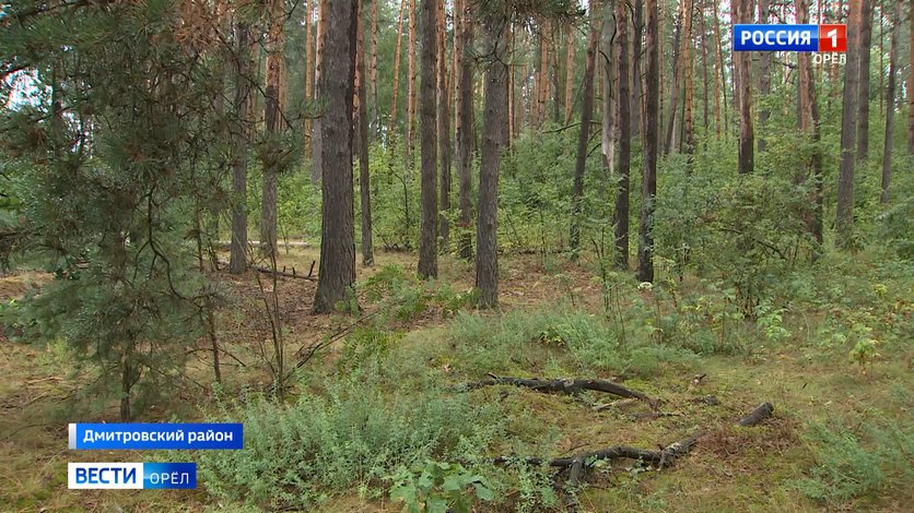 Народные приметы: 25 августа нельзя ходить на свидания