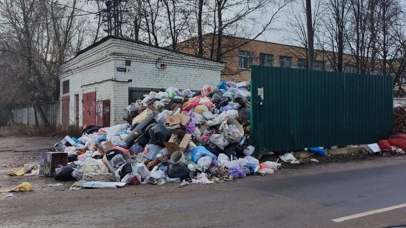 Все о раздельном сборе отходов: ответы на самые популярные вопросы москвичей