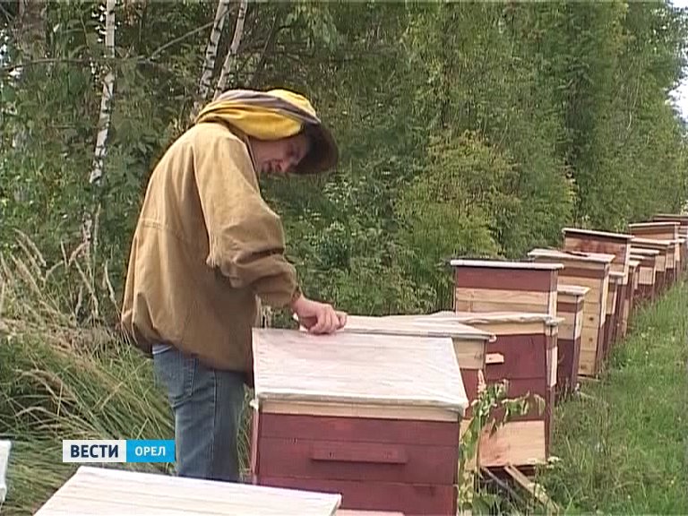 В Орловской области планируют восстановить станцию пчеловодства