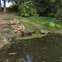 ����������