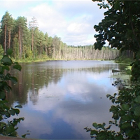 �������